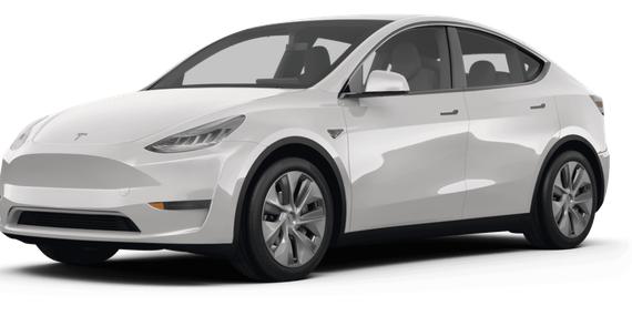 TESLA MODEL Y 2023 7SAYGDEE4PF759825 image